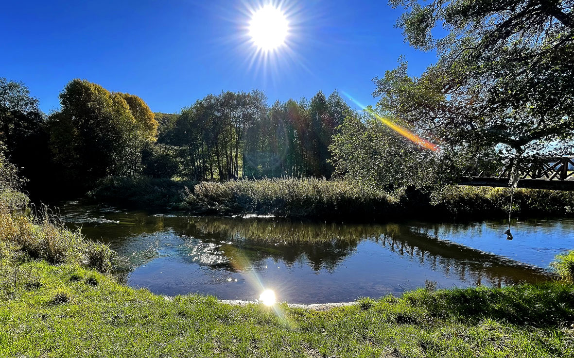 Ådalen udenfor Vejle. Lav træbro over sø med græs og træer omkring. Sol skinner fra skyfri himmel