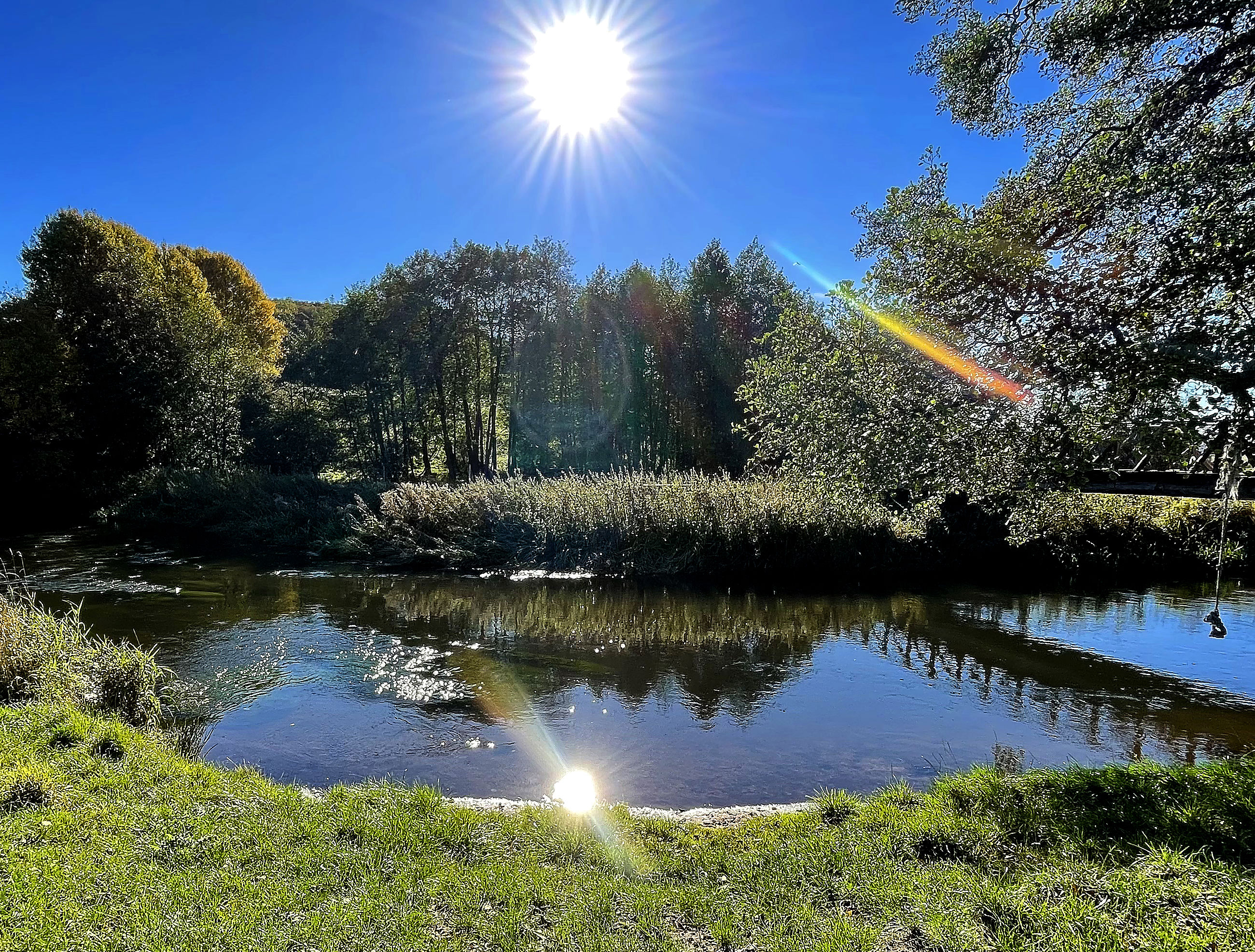 Ådalen udenfor Vejle. Lav træbro over sø med græs og træer omkring. Sol skinner fra skyfri himmel